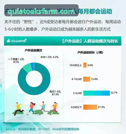 z6平台职业俱乐部战术研判案例
